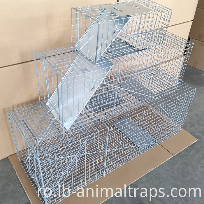 Humane Animal Trap Cage
